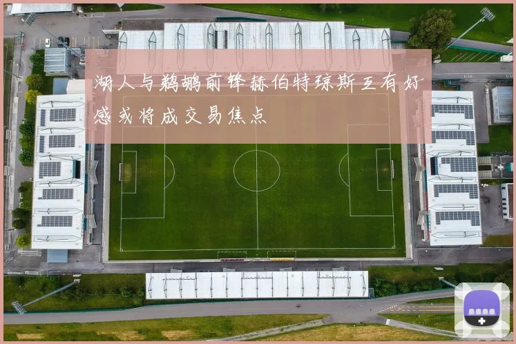 湖人与鹈鹕前锋赫伯特琼斯互有好感或将成交易焦点