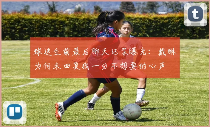 球迷生前最后聊天记录曝光：戴琳为何未回复我一分不想要的心声