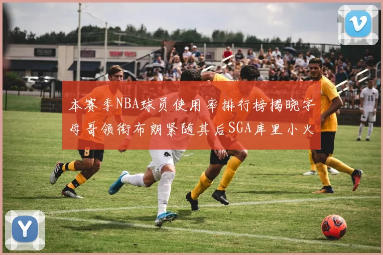 本赛季NBA球员使用率排行榜揭晓字母哥领衔布朗紧随其后SGA库里小火车紧追不舍