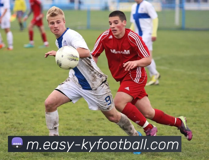 开云足球服务体系